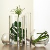 Wholesale Clear Glassware Vase, Cylinder Glass Vase and Balll shape Vase