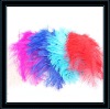 Wholesale Fashion sexy tone large natural feather earrings