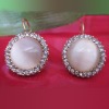 Wholesale Fashion alloy earring acrylic earring painted fashion unusual earrings ER10005
