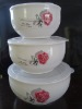 Wholesale Storage Bowl