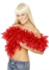 Wholesale Party feather boa (promotion gift) MW-0103