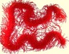Wholesale Party feather boa (promotion gift) MW-0098