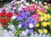 Wholesale Artificial plant silk carnation flower
