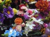Wholesale carnation/hair accessory