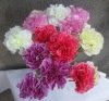 Wholesale Carnation