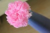 Wholesale promotion preserved carnation bud
