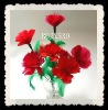 Wholesale mother's day crafts feather carnation flowers