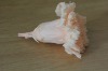 Wholesale 2012 hot products rose and carnation bud