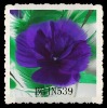 Wholesale wholesale purple feather carnation flowers