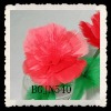 Wholesale wholesale red feather carnation flowers