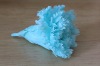 Wholesale 2012 new products blue preserved carnation buds