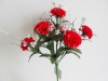 Wholesale bunches of carnation flower