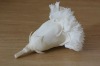 Wholesale fast ship white preserved carnation bud