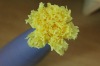 Wholesale 2012 new products yellow preserved carnation