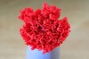 Wholesale promotion red preserved carnation bud