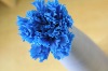 Wholesale 2012 hot products blue preserved carnation bud