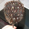Wholesale 2011 hair bands