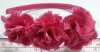 Wholesale Chiffon Flower headbad