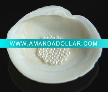 - Click Image to Close