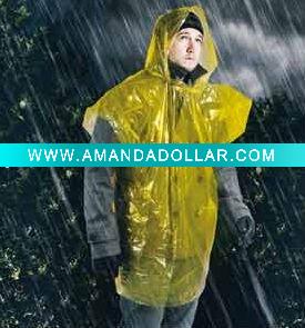 - Click Image to Close