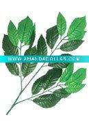 - Click Image to Close