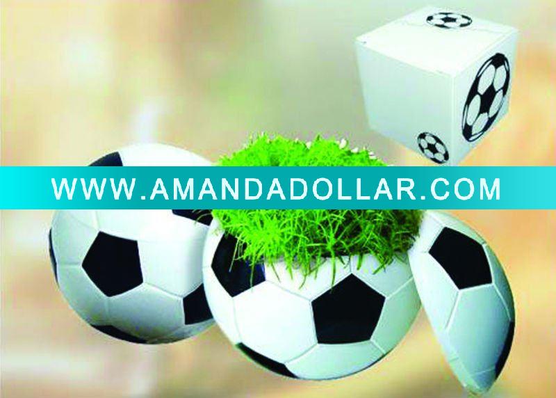 - Click Image to Close