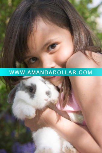 - Click Image to Close