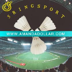 - Click Image to Close