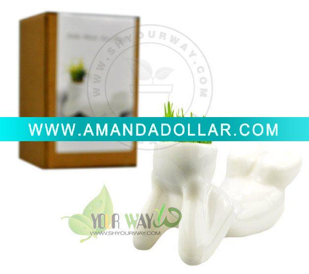 - Click Image to Close