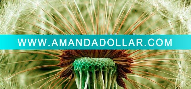 - Click Image to Close