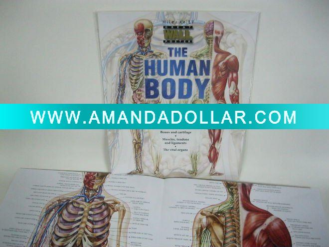 - Click Image to Close